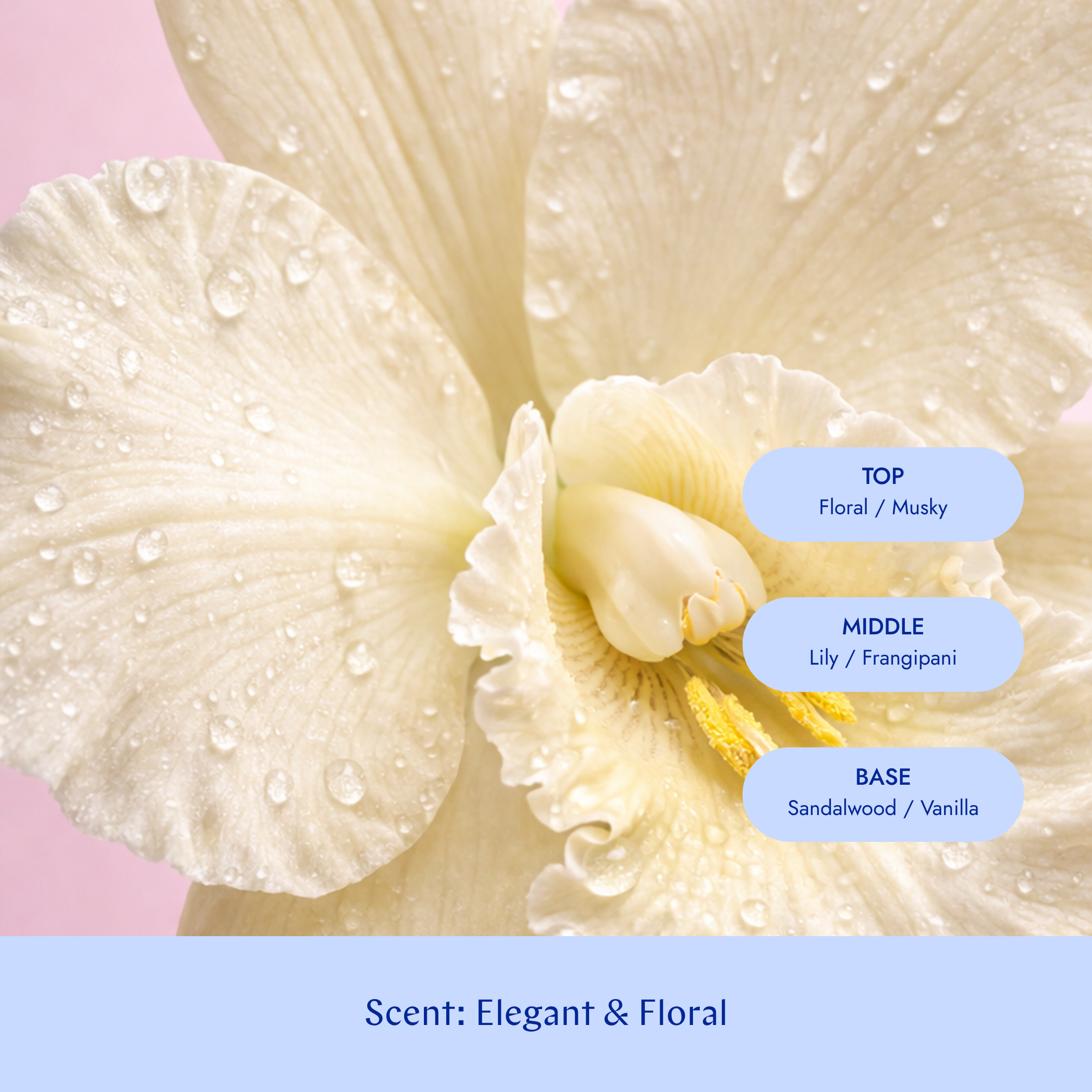 Silver Leave-in treatment